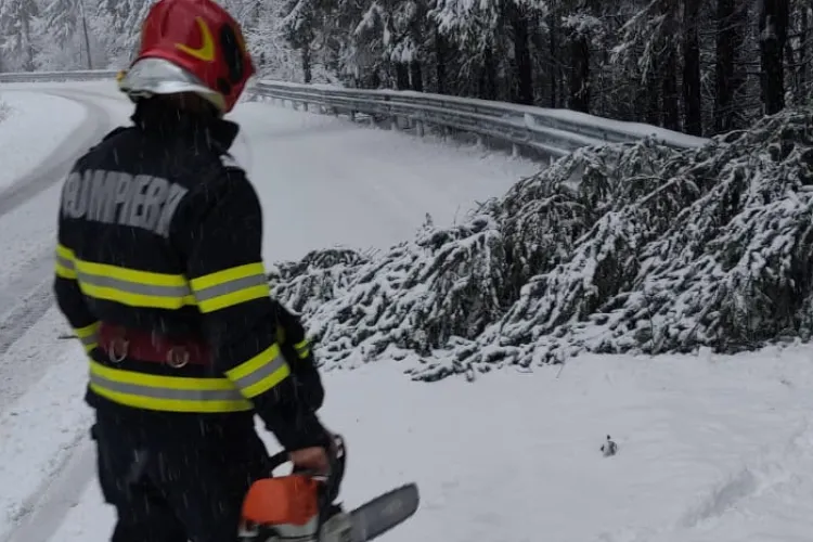 Arbori căzuți pe drumul de munte din Cluj. Se circulă în condiții grele, de iarnă - FOTO