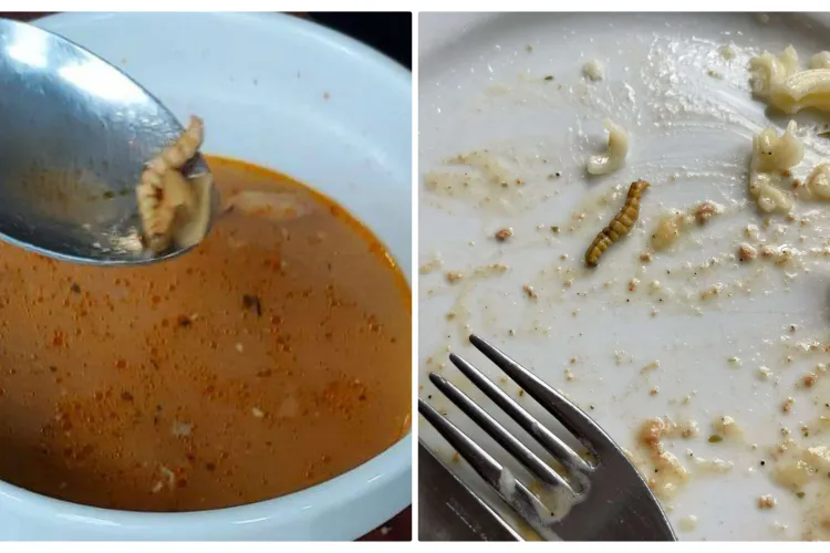 Control după dezvăluirea Știri de Cluj despre viermii găsiți în mâncarea de la Şcoala de Agenţi de Poliţie din Cluj