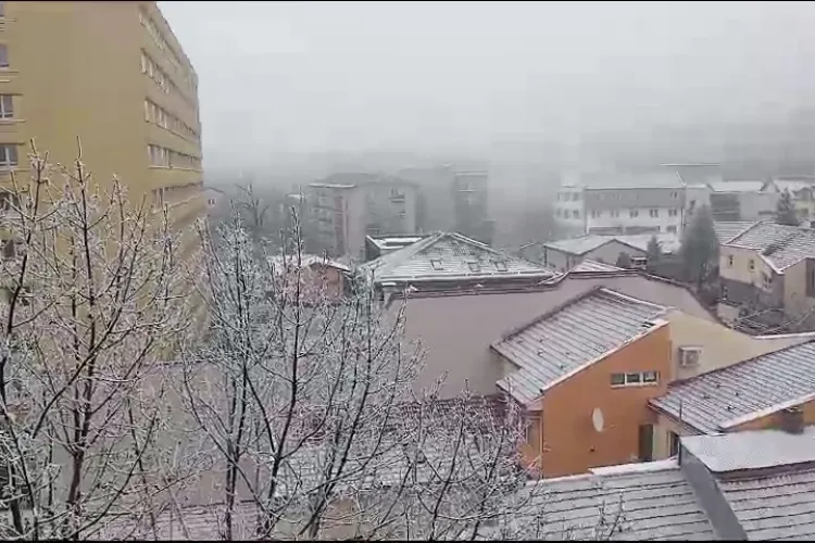 Ninge la Cluj și în Hașdeu, dar sunt zone din oraș unde nu a căzut niciun fulg de nea - VIDEO