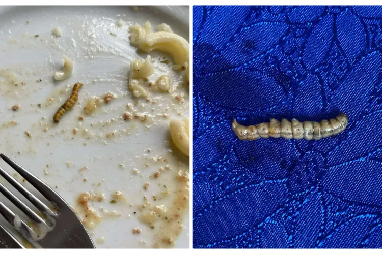 Viermi găsiți în mâncare la Școala de Poliție din Cluj-Napoca: ”Am fost acum la baie. Așa rău mi s-a făcut!” - FOTO EXCLUSIV