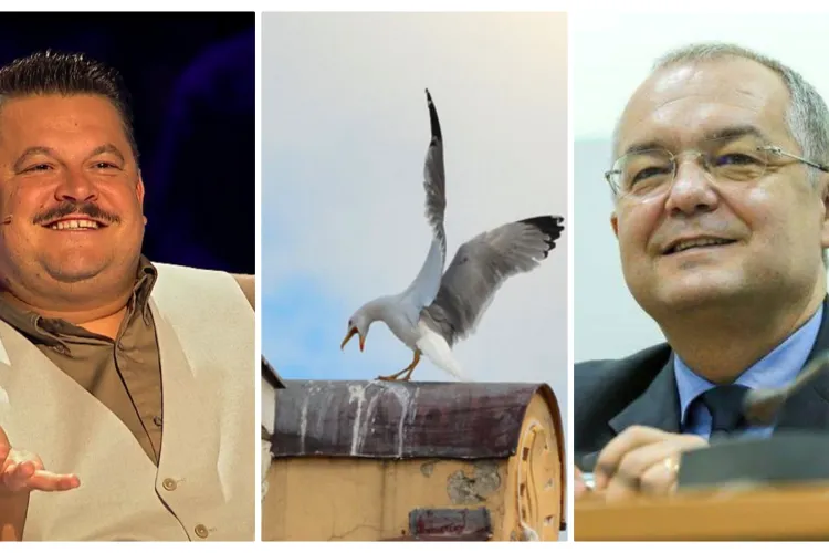 Mihai Bobonete: Nu există primar peste Boc! A băgat Boc pescăruși la Cluj?”. Voi vă dați seama ce șmecher e ăsta - VIDEO