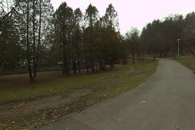 Capcanele cu otravă lăsate într-un parc din oraș sunt pericol public, spune un clujean: ,,Sunt veverițe, păsări și alte animale, dar și copii mici