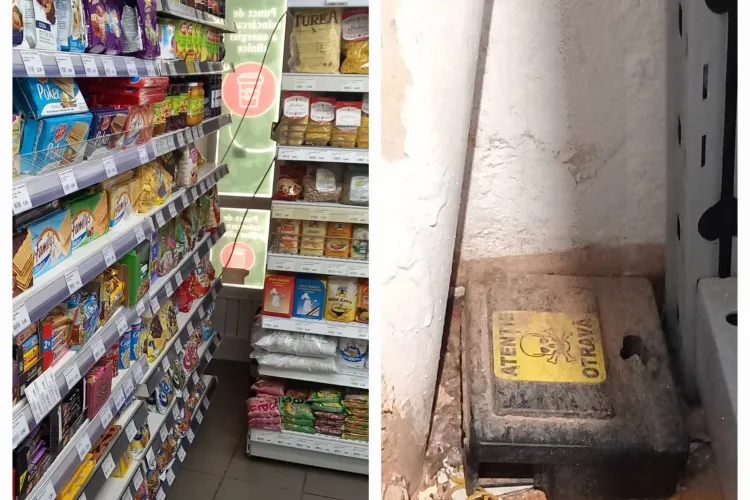 Magazinul Home Garden de pe strada Horea, amendat de Protecția Consumatorilor și închis temporar! Inspectorii ANPC au găsit gândaci și mizerie - VIDEO