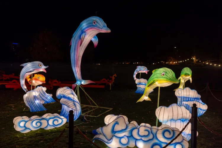 Iulius Parc s-a transformat în „The Glowing Garden”. Expoziția mai poate fi vizitată până pe 20 ianuarie - FOTO