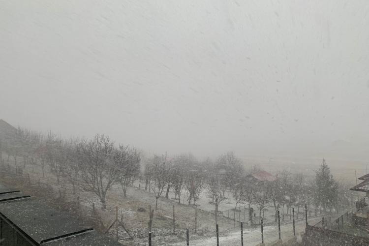 Furtună de zăpadă la Cluj! Așa arată iarna adevărată, așteptată de Crăciun - VIDEO și FOTO
