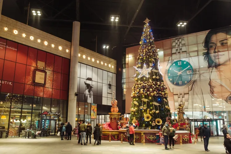 Program Iulius Mall Cluj de Crăciun / 24 decembrie - 26 decembrie 2023