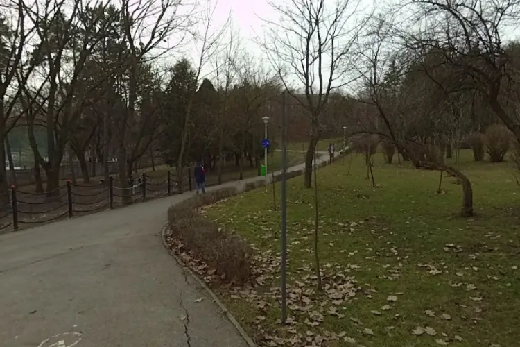 Incidente violente în parcul Detunata! Clujeancă: ,,Stăpânul câinelui a încercat să mă lovească cu lesa/ Au aruncat petarde, seara în direcția mea