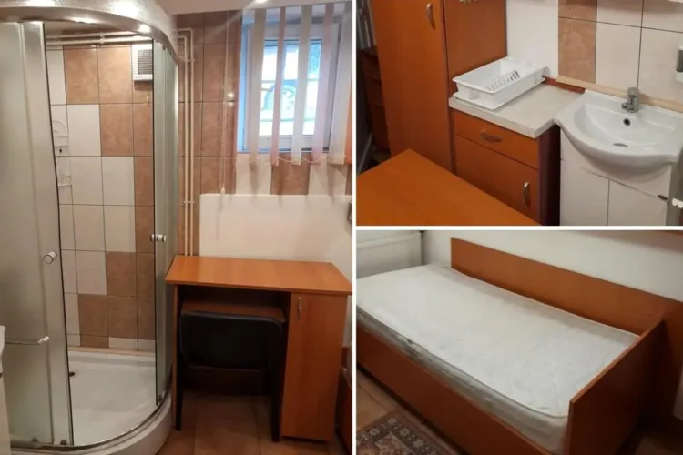 Garsoniera din Ardeal, vedetă națională! Are cabina de duș lângă birou - FOTO