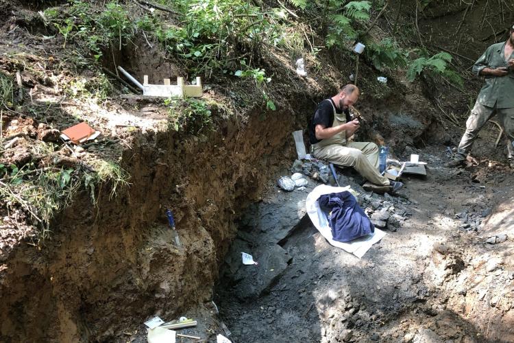 Fosile de dinozaur, unice în lume, descoperite în Transilvania. Oasele au fost găsite de o echipă internațională - FOTO