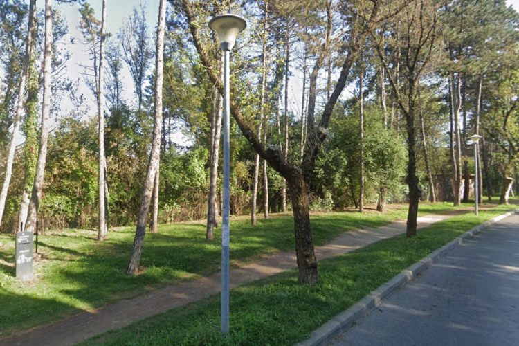 Clujean, scârbit de o zonă din Gheorgheni: ,,Este un dezastru ecologic. Este plină de gunoaie și ciori moarte” 