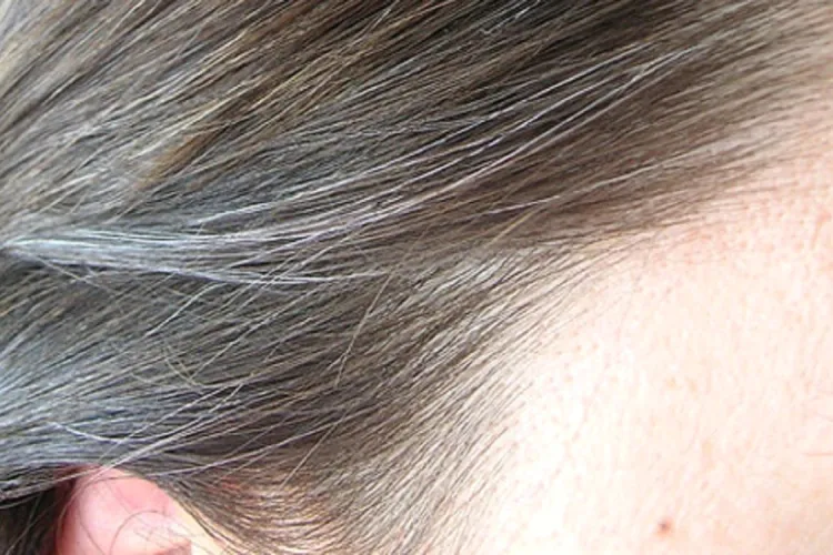 Vopseaua de casă care ”șterge