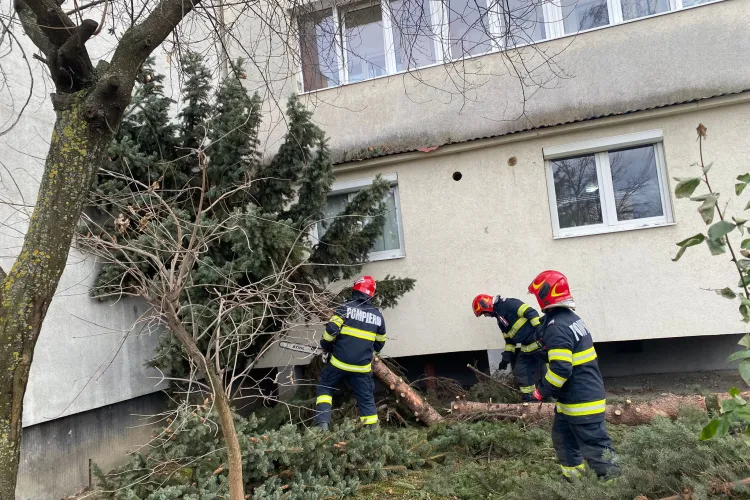 Un brad a căzut peste un balcon din cartierul Mărăști - VIDEO și FOTO