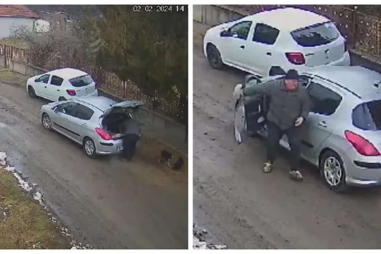 Clujeanul care a abandonat trei câini și a plecat a fost găsit și amendat pe măsură - VIDEO
