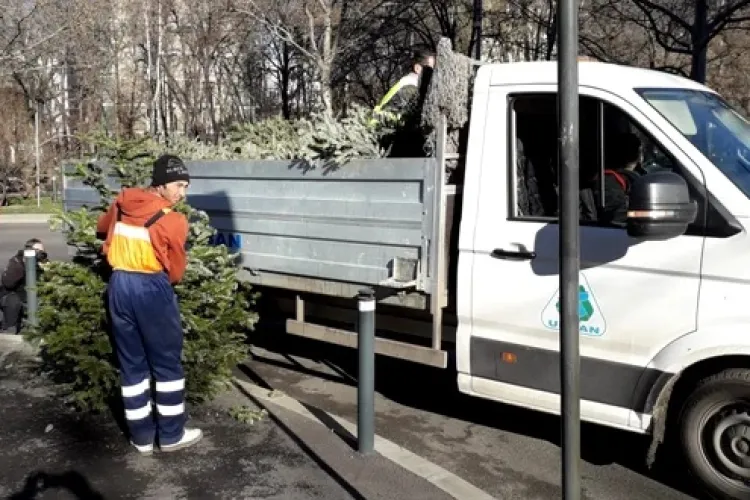 Emil Boc îi amenință pe clujeni cu amenzi URIAȘE, dacă mai aruncă brazii de Crăciun la tomberoane