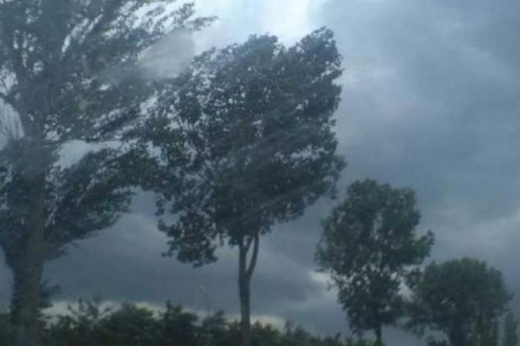 Avertizare meteorologică: COD GALBEN de ploi și vânt puternic în Cluj 