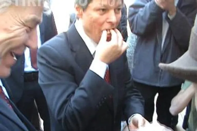 Branza si produsele romanesti sunt laudate, dar lipsesc de pe piata europeana! Vezi o posibila explicatie VIDEO