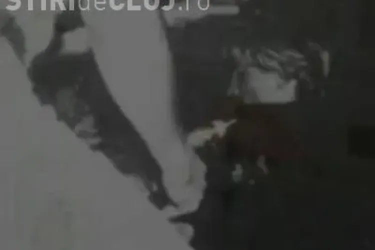 Primele imagini necenzurate cu printesa Diana dupa accidentul in care a murit - VIDEO