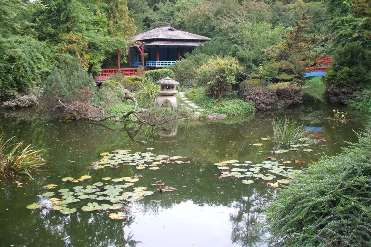 Femeile de afaceri din Cluj vor sa restaureze Gradina Botanica! Primul pas incepe cu Gradina Japoneza