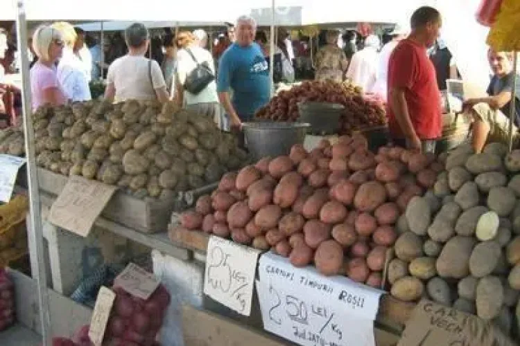 1,3 miliarde de tone de alimente se pierd sau se arunca anual in lume