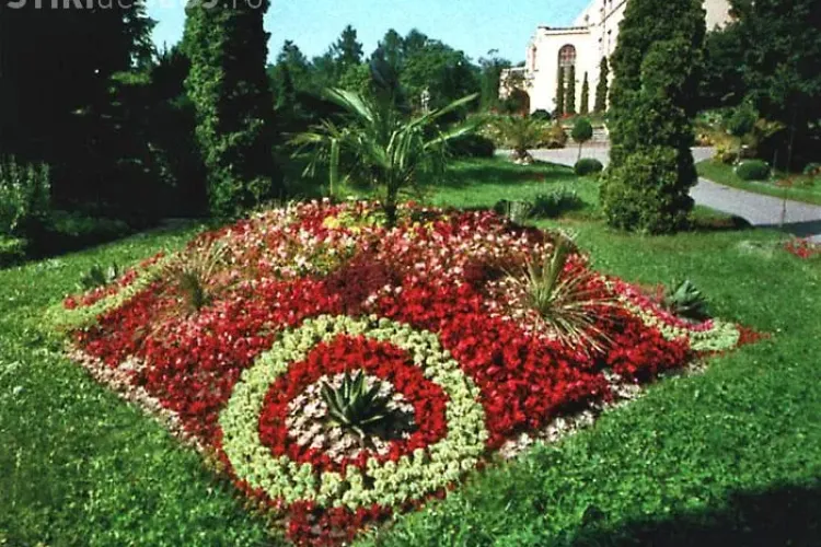 Se cauta voluntari pentru plantarea de flori in Gradina Botanica din Cluj-Napoca!