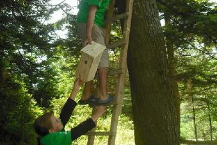 Luni, incepe saptamana nationala a voluntariatului! Mai multe ONG-uri din Cluj organizeaza activitati la care va puteti alatura!