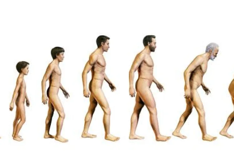 Testul ADN care iti spune cat mai ai de trait costa 500 de euro