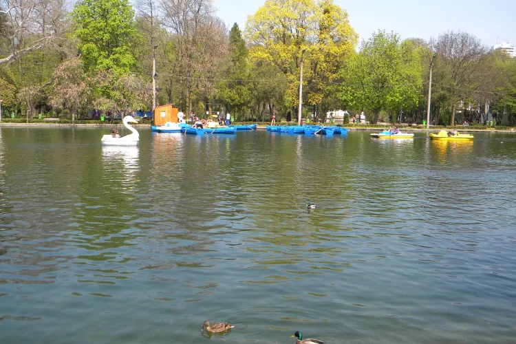 Intretinerea spatiilor verzi din Cluj Napoca costa 10 milioane de euro! Primaria a lansat licitatia