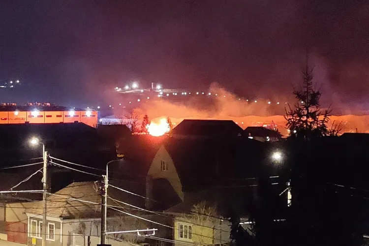 Care a fost cauza incendiului de stufăriș din Someșeni. Focul a fost vizibil din tot orașul - FOTO