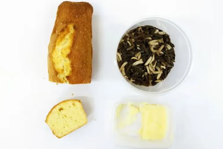 Unt din grăsime de muscă! Ar putea înlocui untul din napolitane și prăjituri