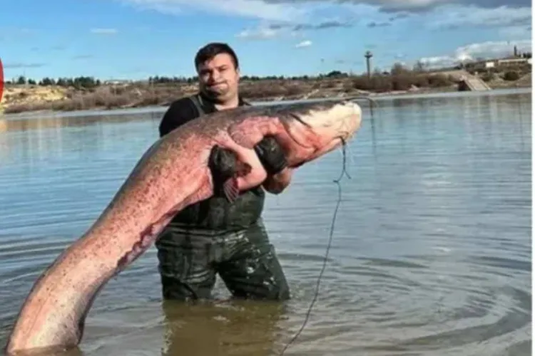 Marius, un ardelean stabilit în Austria, pescuiește pești de peste 80 de kilograme: „Din pasiune am ajuns să fac investiții costisitoare”