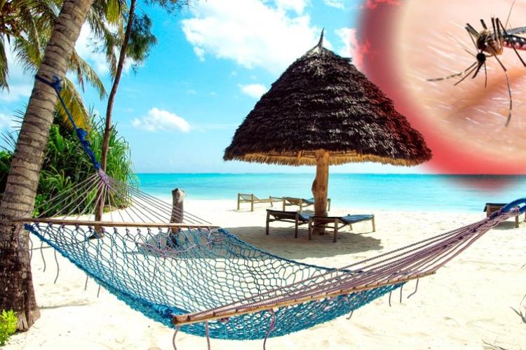 Ministrul Sănătății, avertisment pentru cei care merg în vacanțe în zone tropicale: ”Simptomele malariei pot fi asemănătoare cu infecția virală”