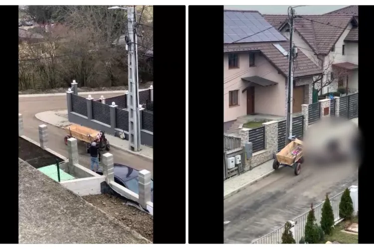 Cal chinuit de un căruțaș în Apahida! Poliția aruncă vina: Nu e un caz atât de grav - VIDEO