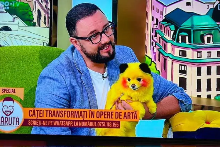 Măruță criticat de iubitorii de animale pentru că promovează bătaia de joc la adresa cățeilor - FOTO