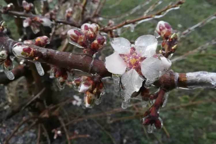 Temperaturi mai mari decât normalul perioadei! De când se schimbă vremea, anunțul ANM