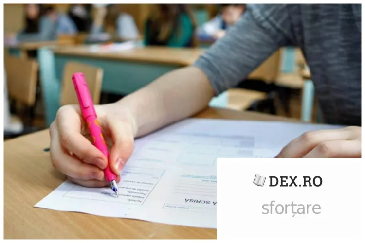 Cuvântul care le-a dat bătăi de cap elevilor la ​Simularea BAC 2024, de la Limba și literatura română, viral pe net. Știați ce înseamnă?