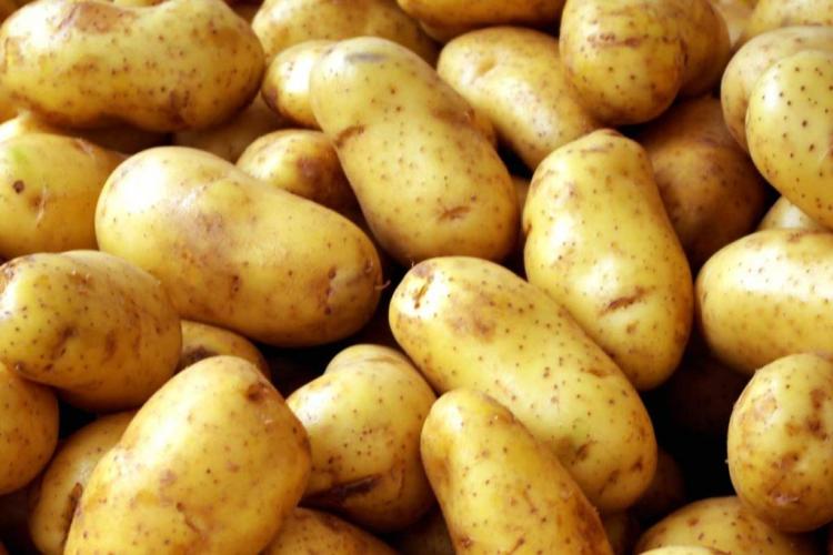 Moduri de a găti cartofii! Care sunt cele mai sănătoase rețete