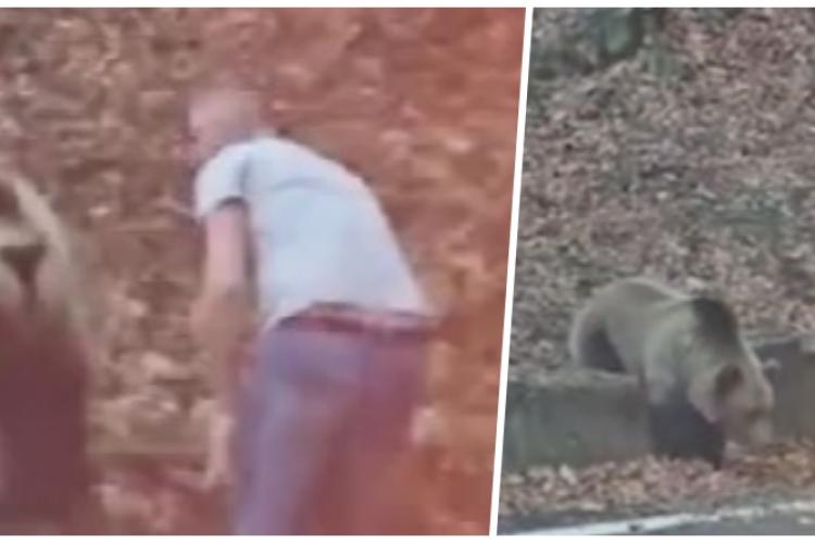 Scene halucinante! Un bărbat și-a lăsat mașina în mijlocul drumului ca să hrănească un urs, pe Transfăgărăşan - VIDEO
