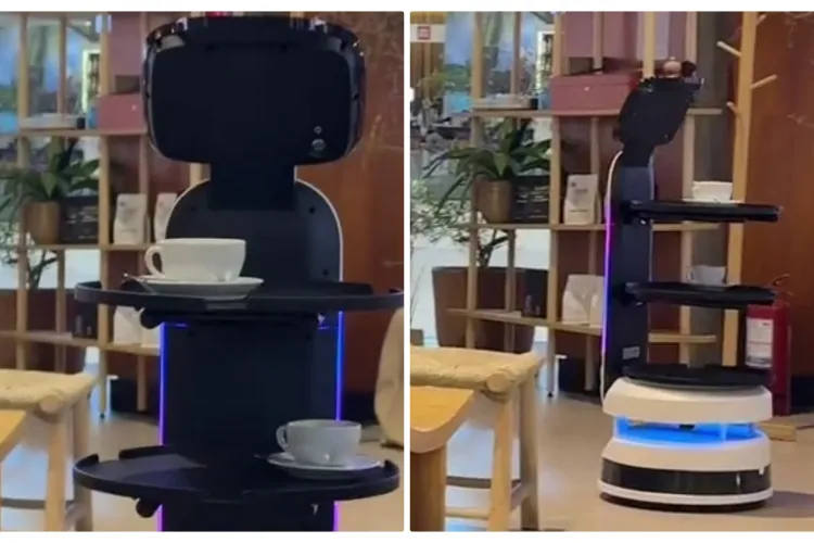 În Cluj nu mai există ospătari? Au apărut chelnerii roboți la un mall din oraș. Cât costă și cât este de rentabil - VIDEO