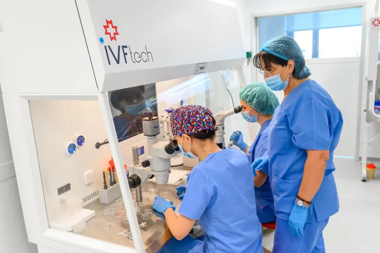 Oamenii care oferă speranță cuplurilor infertile: cum începe miracolul vieții într-un laborator