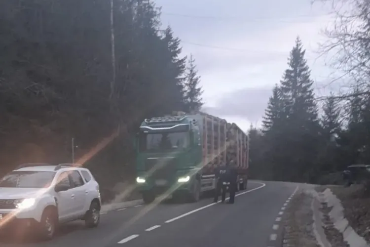 Mafia lemnului din Cluj preferă să nu cântărească transporturile de lemne, dar să achite amenda - FOTO