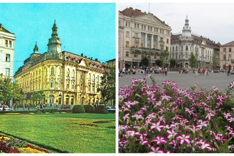 Cum era mai frumos, cu betoane sau cu verdeață? Gusturile sunt împărțite - Galerie FOTO în articol