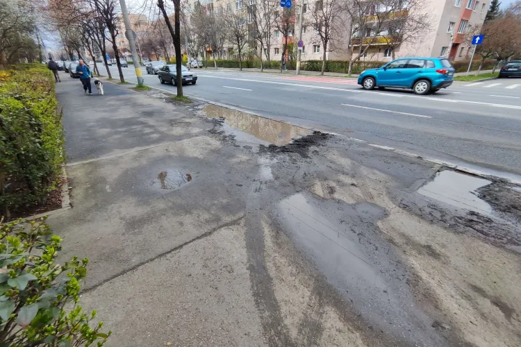 ”Mulțumim domnului primar că ne-a adus pământul în oraș!” - Ironii fine la adresa primarului Emil Boc - FOTO