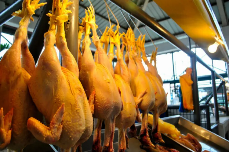 Ministrul Agriculturii, Florin Barbu, nu crede că fermierii români vopsesc puii