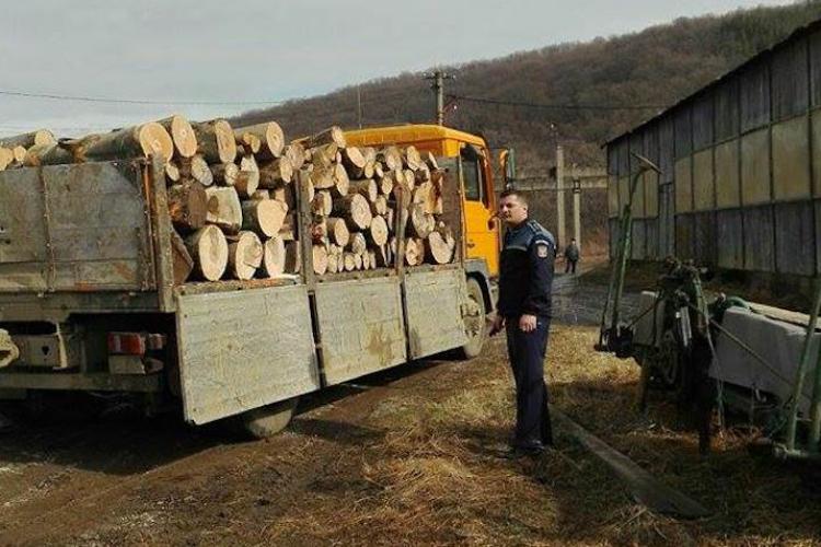 Lupul paznic la oi! Specialist silvic reținut de polițiști pentru că ajuta și favoriza hoții de lemne