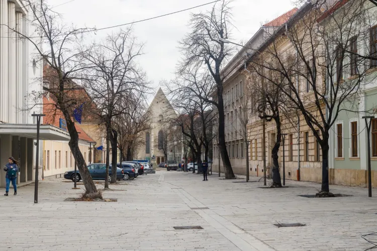 Fără a glumi, Boc spune că pe strada Kogălniceanu simți natura adevărată: ”Să nu mergi în vârful muntelui, la Băișoara”