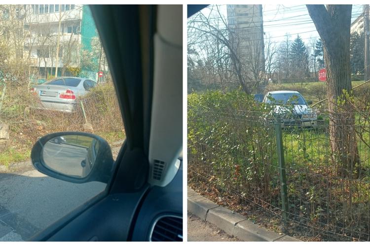 ”Au venit elitele la facultate!” - Un șofer din Maramureș a trecut printr-un gard în Gheorgheni și a ”parcat” pe iarbă - FOTO