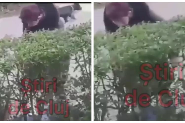 Cluj - Incident grav pe o alee din Gheorgheni, sub ochii altor clujeni. Cine recunoaște această femeie? Nu e la prima faptă - VIDEO
