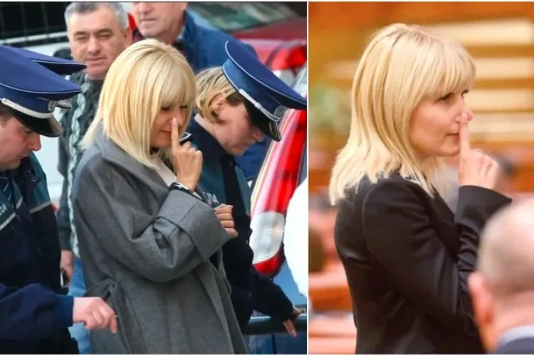 Elena Udrea la un pas de un eșec financiar de proporții cu o afacere pe care o are în Ardeal. Nu i-a mers