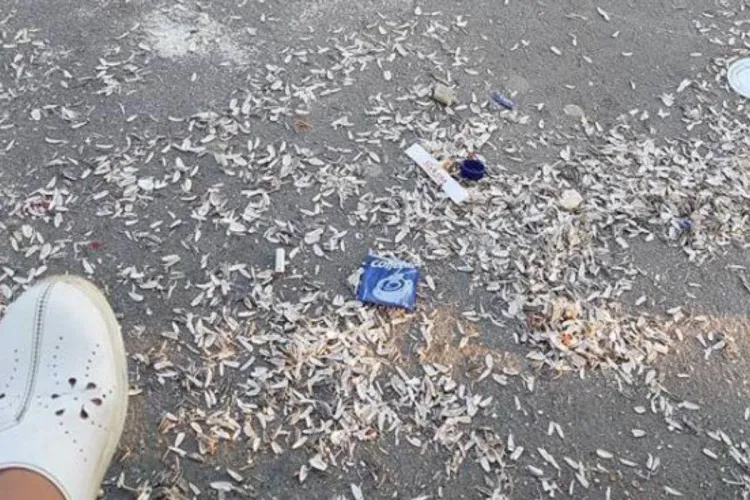 Zona rău famată aproape de centrul Clujului, unde încă se sparg semințe ca în 90: ”În fiecare zi se scot scaune afară. Nu mai suportăm!”