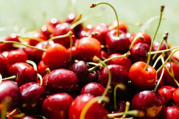 Comercianții din România au ajuns să vândă cireșe la bucată! O singură cireașă e mai scumpă decât o pâine 
